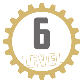 level6