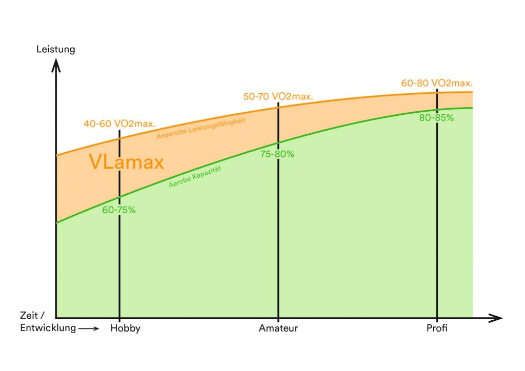 VLamax