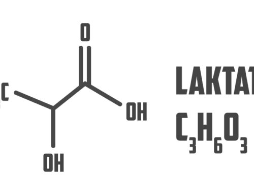 Laktat und Fettstoffwechsel – wie ein kleines Molekül entscheidet, welchen Treibstoff du verbrennst