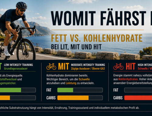 Fett oder Kohlenhydrate – womit fährst du eigentlich?
